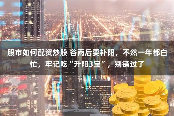 股市如何配资炒股 谷雨后要补阳，不然一年都白忙，牢记吃“升阳3宝”，别错过了